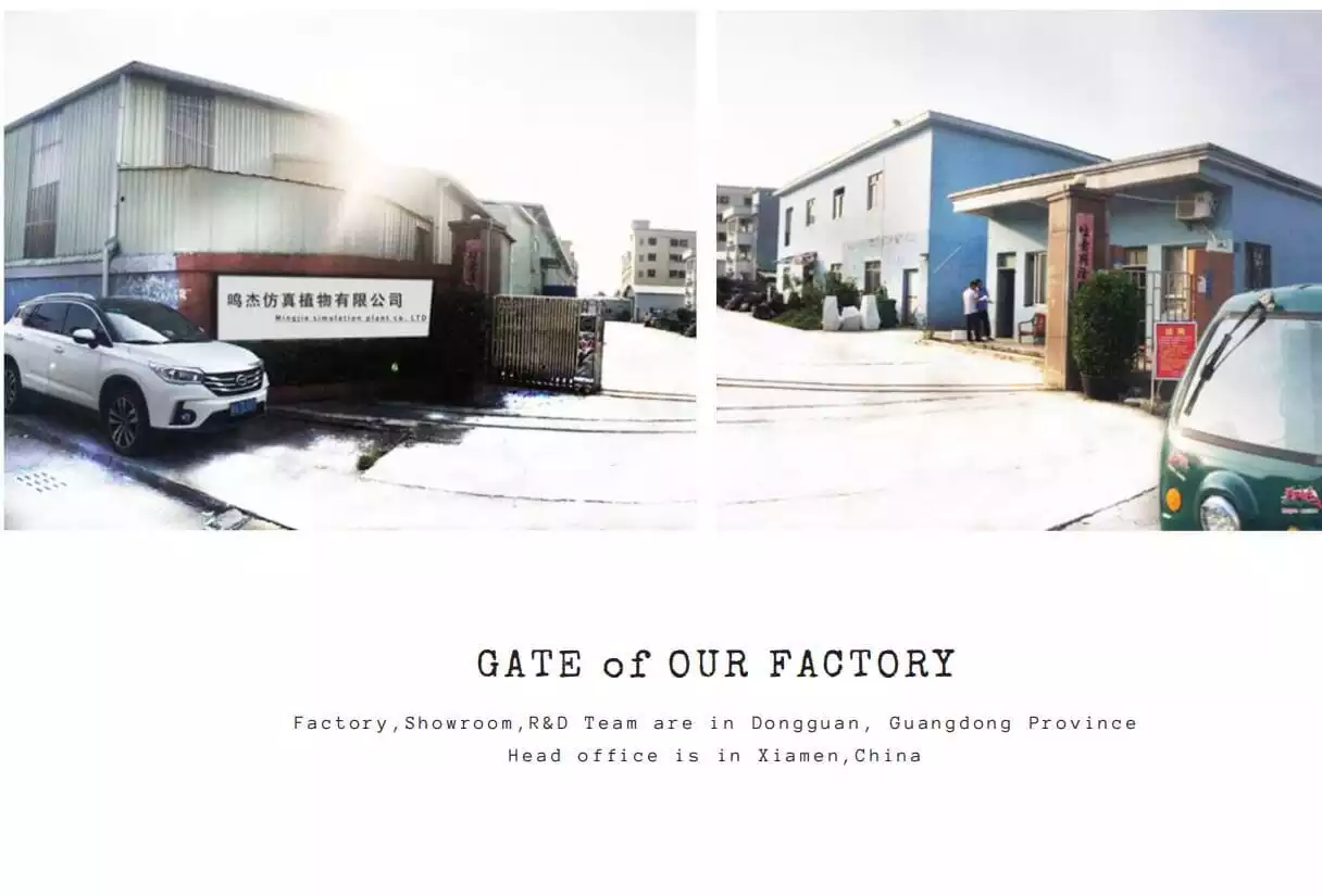 Details of Our Factory. - Backup Force & The Power of Unity